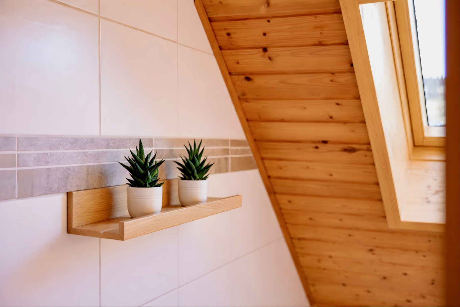 Shelf with plants in the bathroom