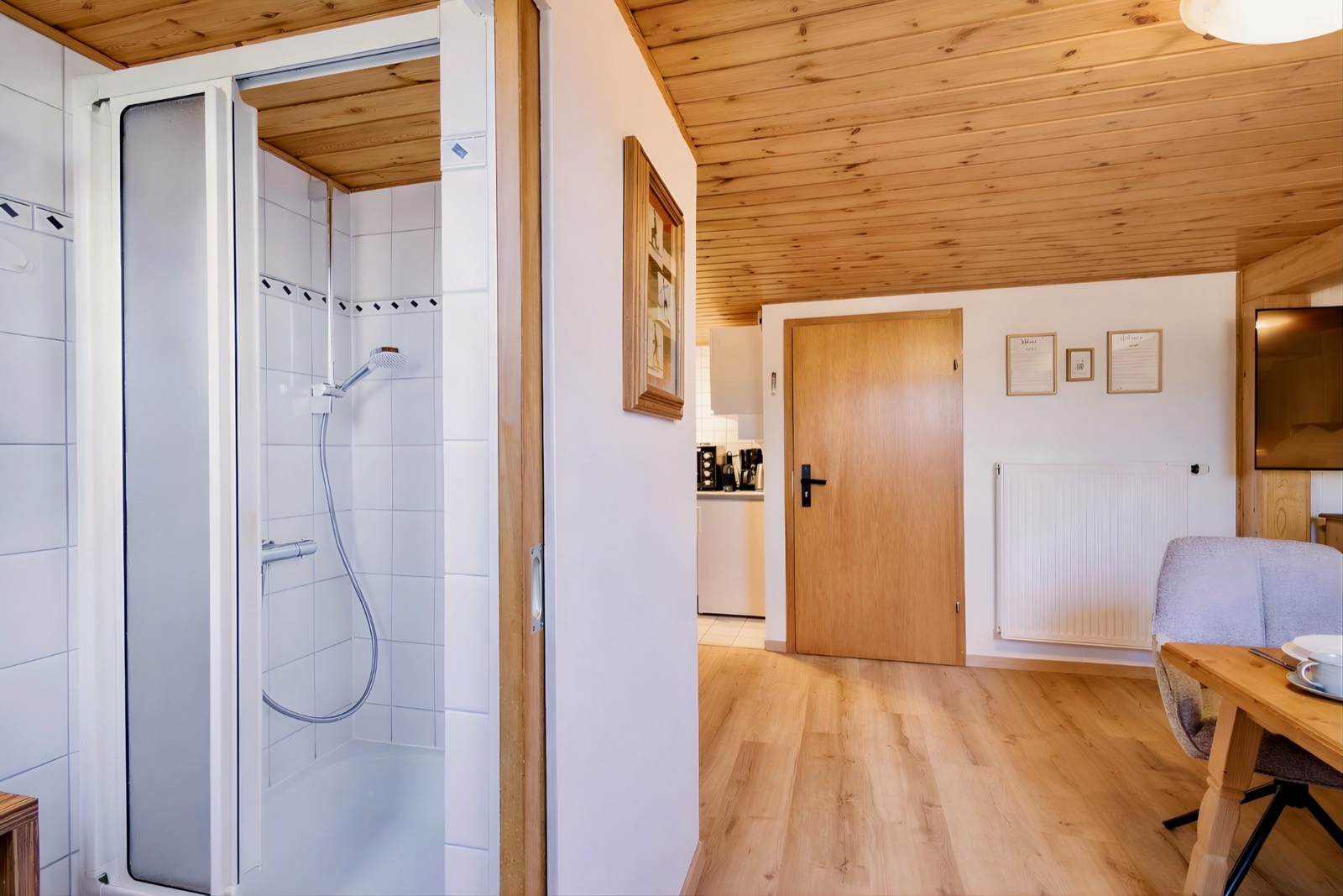 Duschbad mit Blick in den Wohnraum